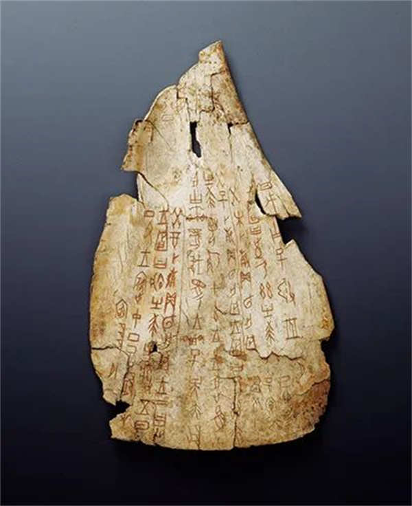 UEDITOR_IMG_TITLE UEDITOR_IMG_TITLE