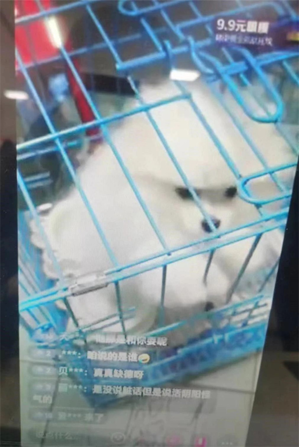 UEDITOR_IMG_TITLE UEDITOR_IMG_TITLE